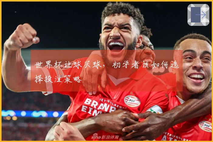 世界杯让球买球，初学者该如何选择投注策略