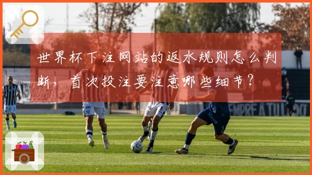 世界杯下注网站的返水规则怎么判断，首次投注要注意哪些细节？