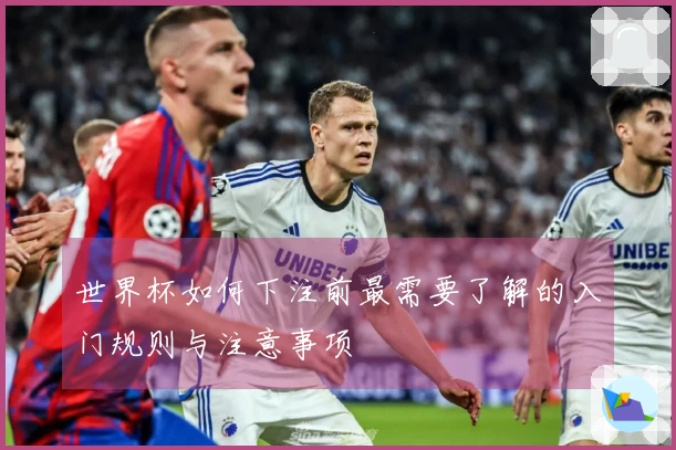 世界杯如何下注前最需要了解的入门规则与注意事项