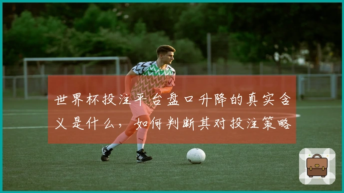 世界杯投注平台盘口升降的真实含义是什么，如何判断其对投注策略的影响？