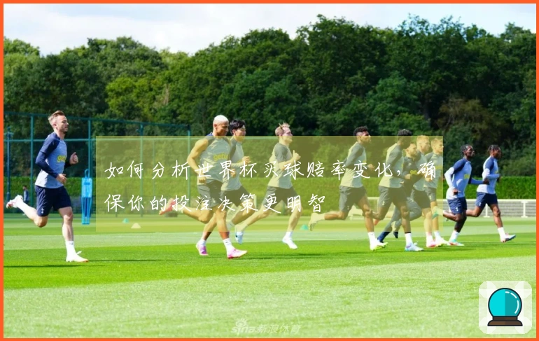 如何分析世界杯买球赔率变化，确保你的投注决策更明智