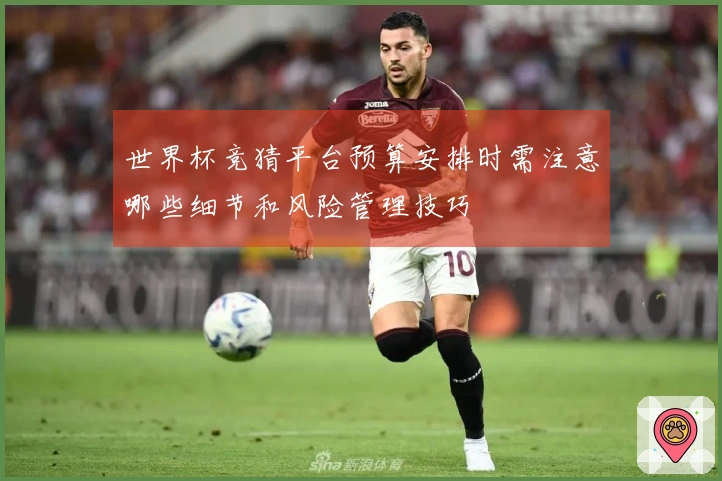 世界杯竞猜平台预算安排时需注意哪些细节和风险管理技巧