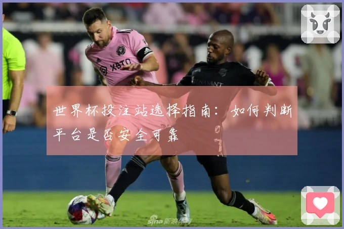 世界杯投注站选择指南：如何判断平台是否安全可靠