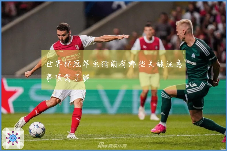 世界杯冠军竞猜前有哪些关键注意事项需了解