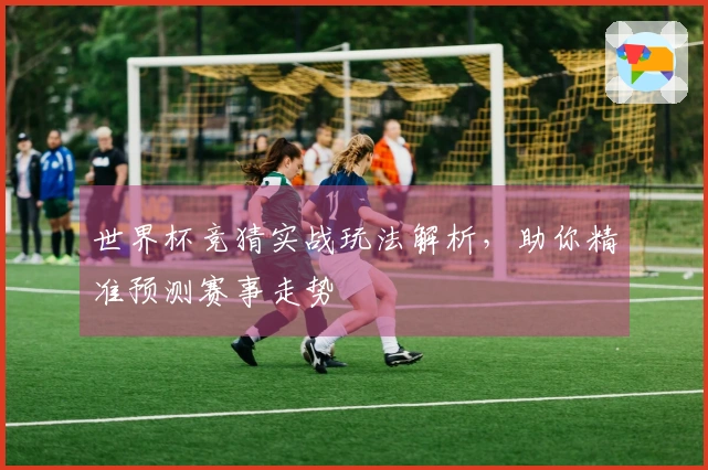 世界杯竞猜实战玩法解析，助你精准预测赛事走势