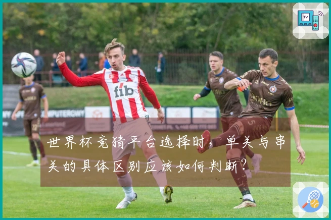 世界杯竞猜平台选择时，单关与串关的具体区别应该如何判断？