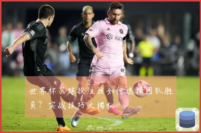 世界杯买球投注该如何选择团队胜负？实战技巧大揭秘