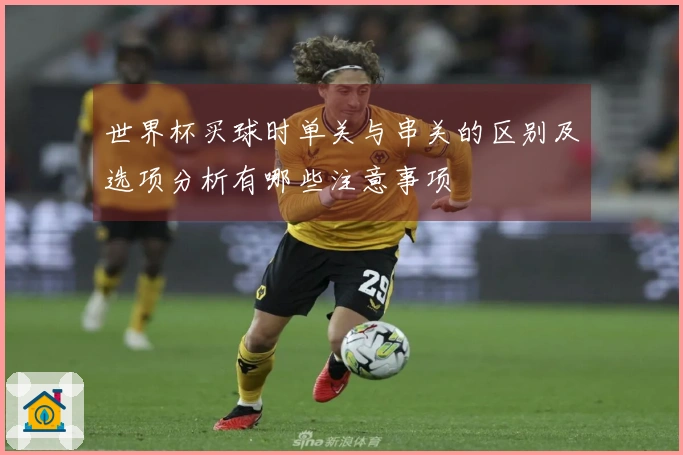 世界杯买球时单关与串关的区别及选项分析有哪些注意事项