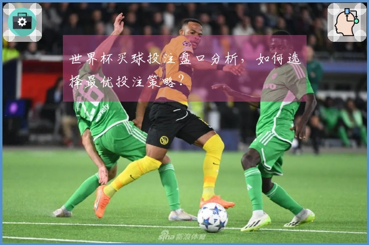 世界杯买球投注盘口分析，如何选择最优投注策略？