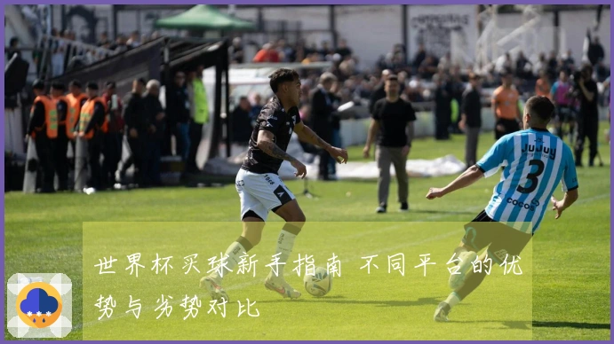 世界杯买球新手指南 不同平台的优势与劣势对比