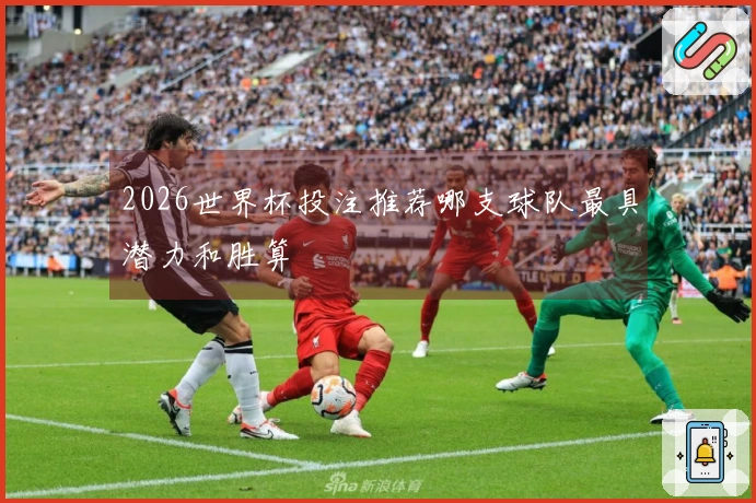 2026世界杯投注推荐哪支球队最具潜力和胜算
