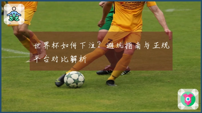 世界杯如何下注?避坑指南与正规平台对比解析
