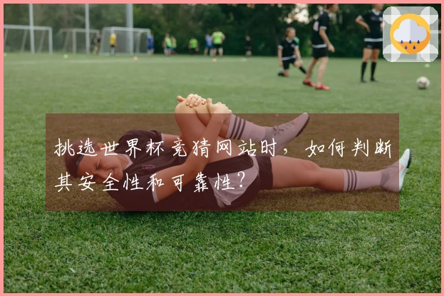 挑选世界杯竞猜网站时，如何判断其安全性和可靠性？