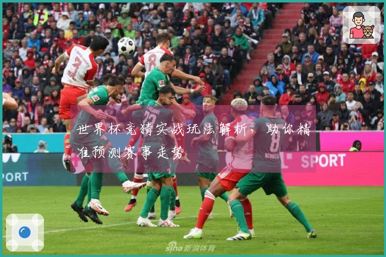世界杯竞猜实战玩法解析，助你精准预测赛事走势