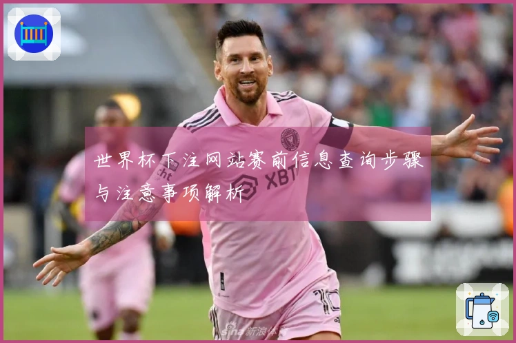 世界杯下注网站赛前信息查询步骤与注意事项解析