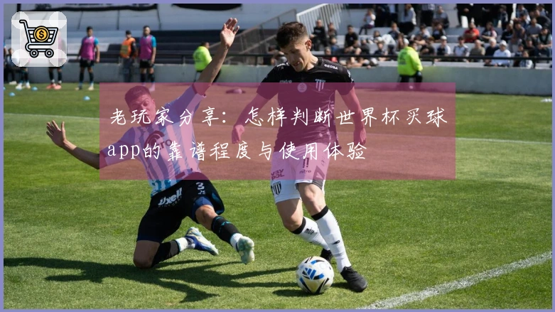 老玩家分享：怎样判断世界杯买球app的靠谱程度与使用体验