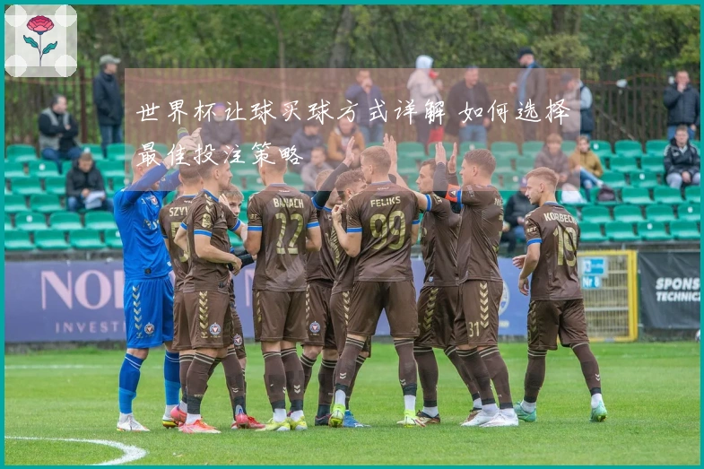 世界杯让球买球方式详解 如何选择最佳投注策略
