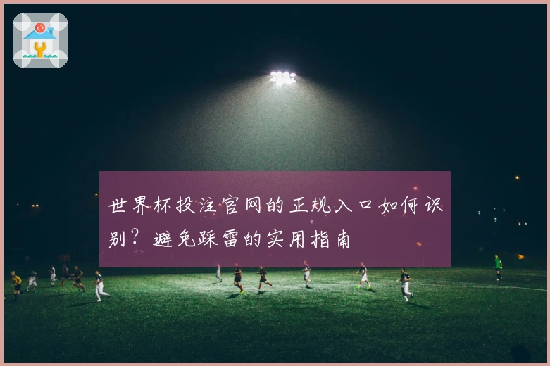 世界杯投注官网的正规入口如何识别？避免踩雷的实用指南