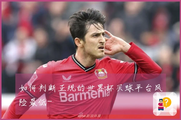 如何判断正规的世界杯买球平台风险最低-