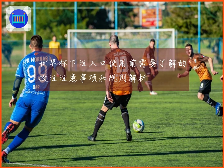 世界杯下注入口使用前需要了解的投注注意事项和规则解析