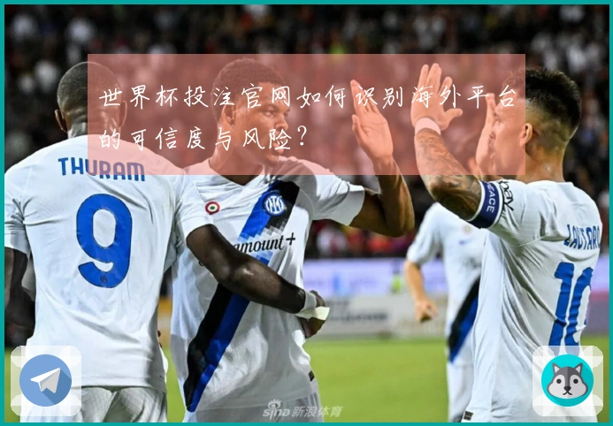 世界杯投注官网如何识别海外平台的可信度与风险？