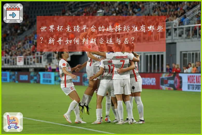 世界杯竞猜平台的选择标准有哪些？新手如何判断合适与否？
