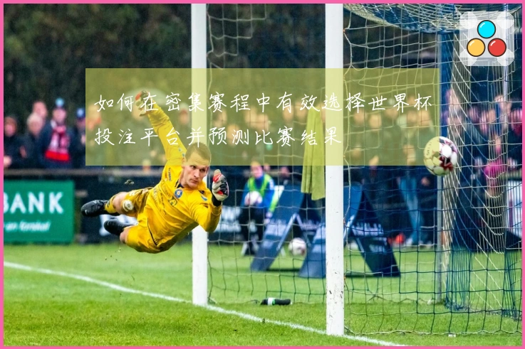 如何在密集赛程中有效选择世界杯投注平台并预测比赛结果