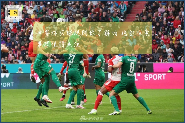 世界杯买球规则你了解吗 这些注意事项值得关注