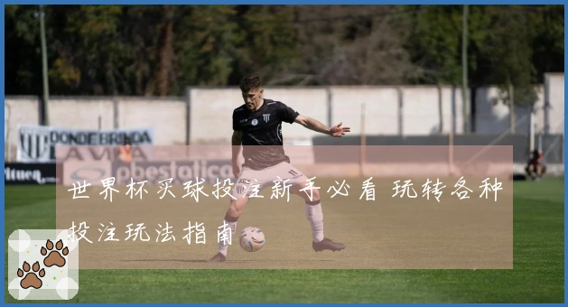 世界杯买球投注新手必看 玩转各种投注玩法指南