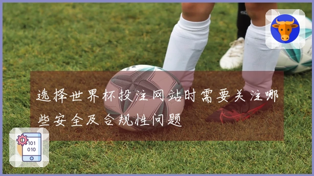 选择世界杯投注网站时需要关注哪些安全及合规性问题