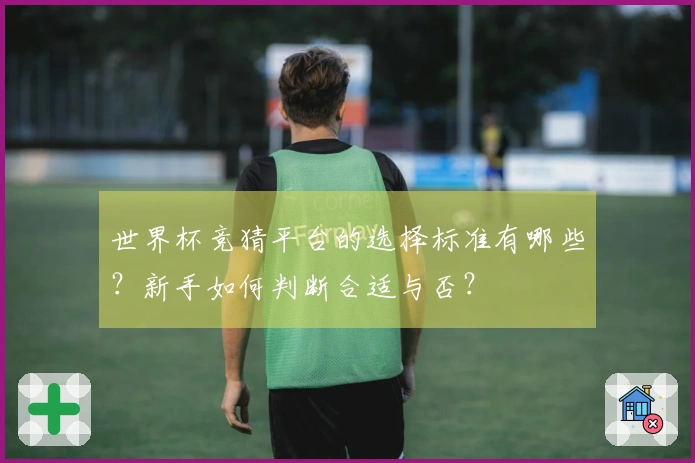 世界杯竞猜平台的选择标准有哪些？新手如何判断合适与否？