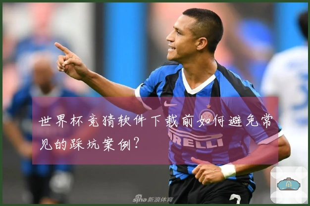 世界杯竞猜软件下载前如何避免常见的踩坑案例？