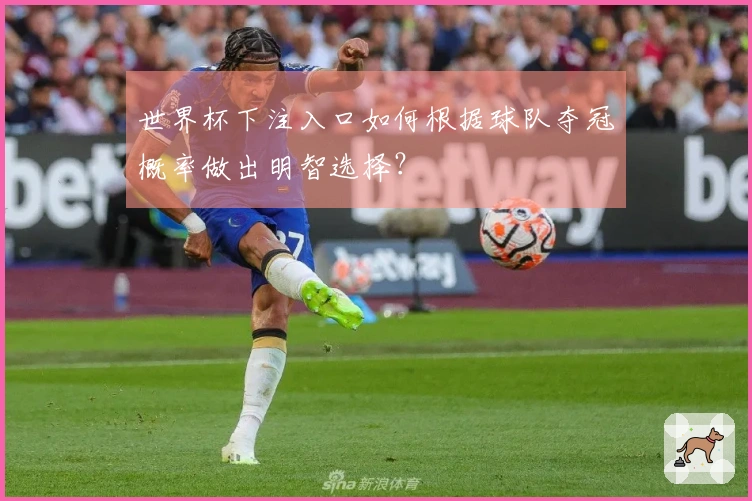 世界杯下注入口如何根据球队夺冠概率做出明智选择？