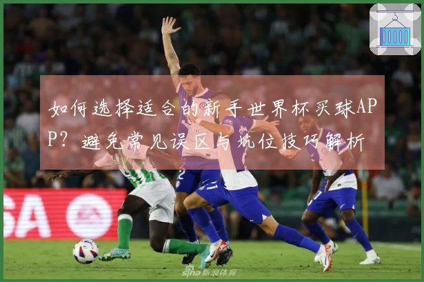 如何选择适合的新手世界杯买球APP？避免常见误区与坑位技巧解析