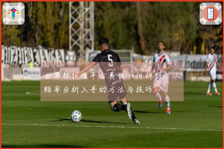 世界杯投注平台真假如何辨别？从赔率分析入手的方法与技巧