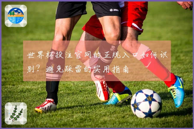 世界杯投注官网的正规入口如何识别？避免踩雷的实用指南