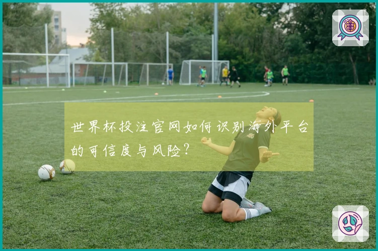 世界杯投注官网如何识别海外平台的可信度与风险？