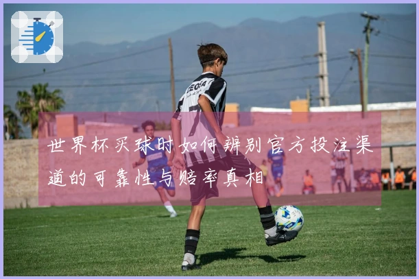 世界杯买球时如何辨别官方投注渠道的可靠性与赔率真相