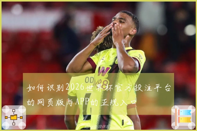 如何识别2026世界杯官方投注平台的网页版与APP的正规入口